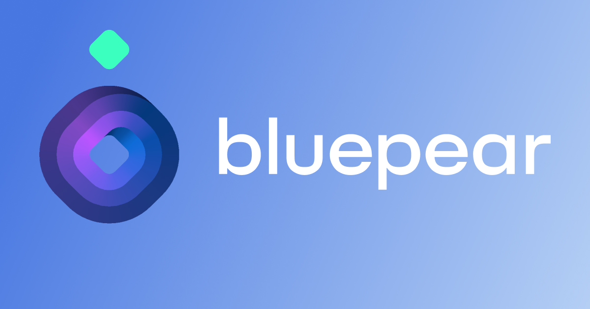 Bluepear Brand Bidding Detection Tool